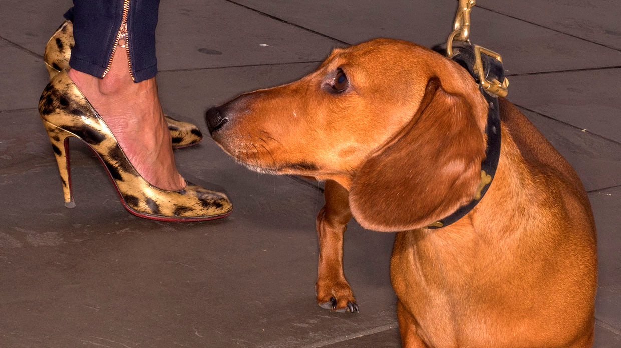 What Do Artists Do All Day featuring Dougie Wallace