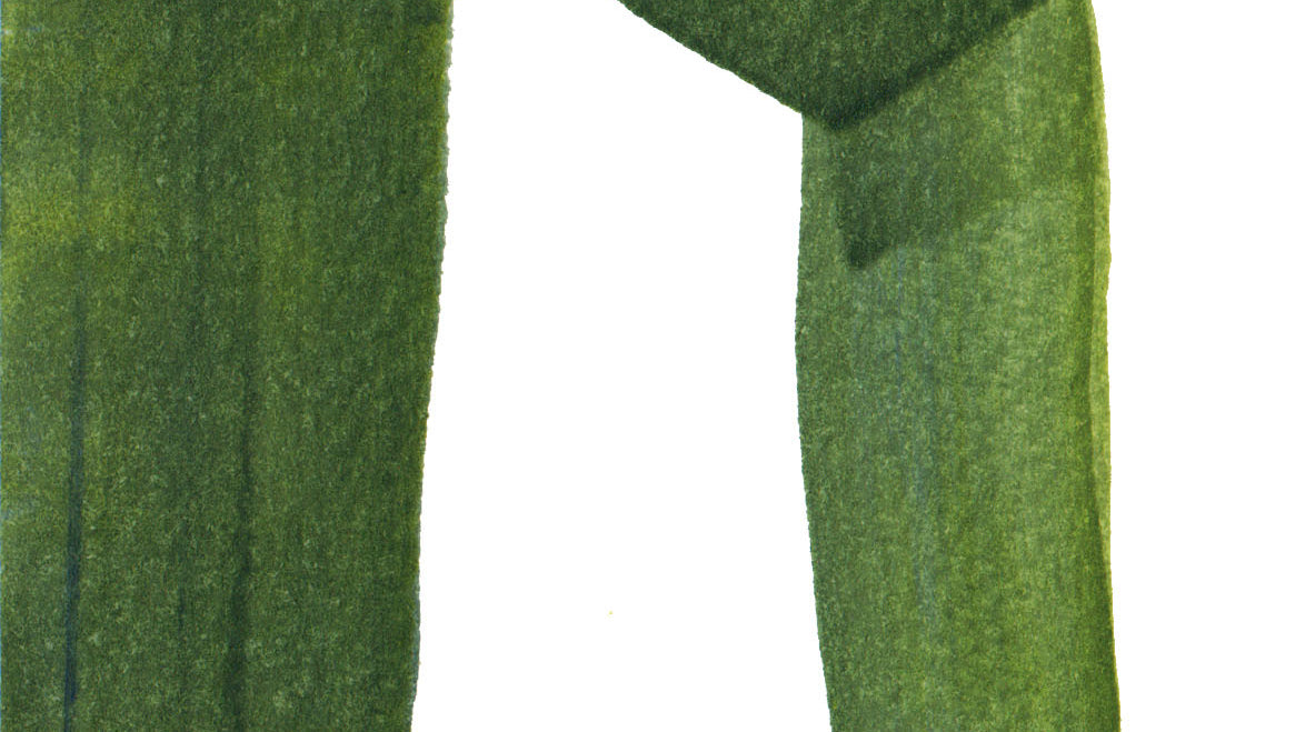 Even ‘Abstract’ Begins as an Ideology.