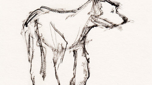 The Aesthetics of Suicide