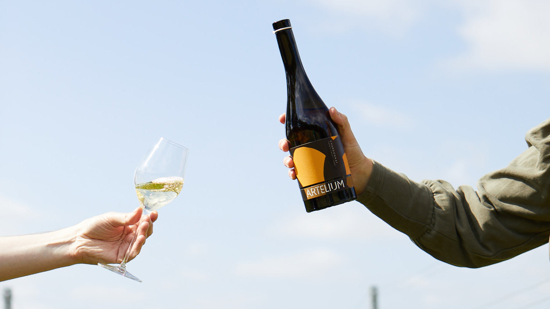 Artelium Wine Estate: Where Art and Wine Converge