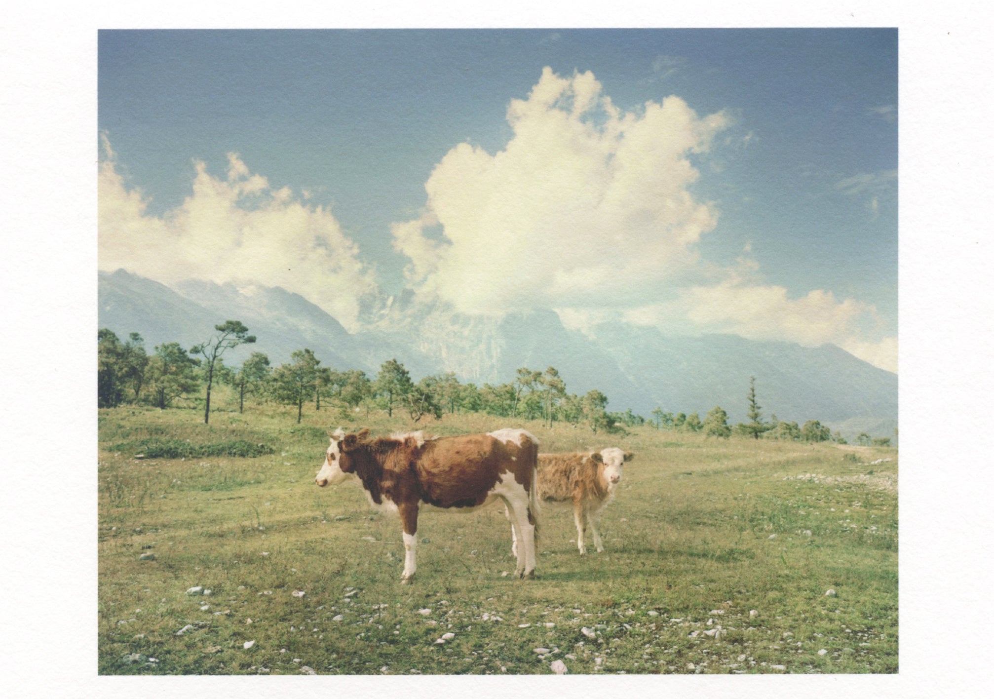 The FT's How to spend Features our IWD Auction