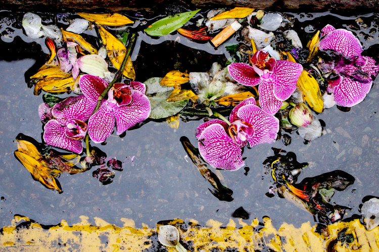 Johanna Neurath for Photography on a Postcard