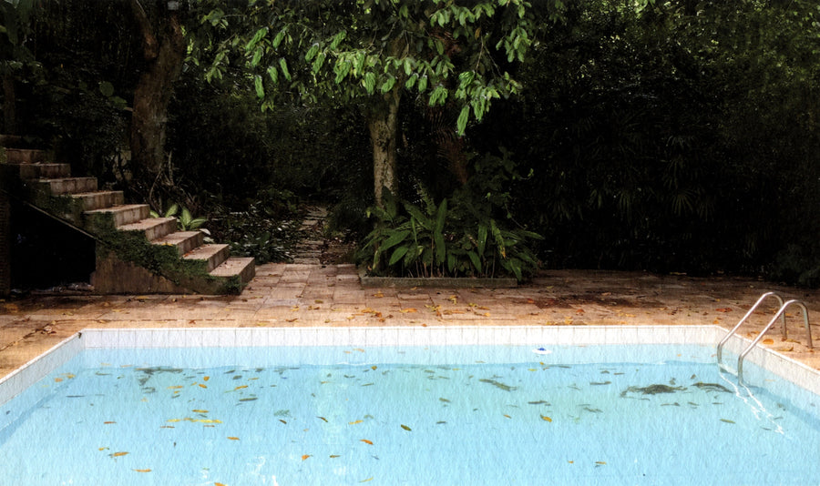 Lot 227 - Annette van Waaijen - The Pool (Rio) I