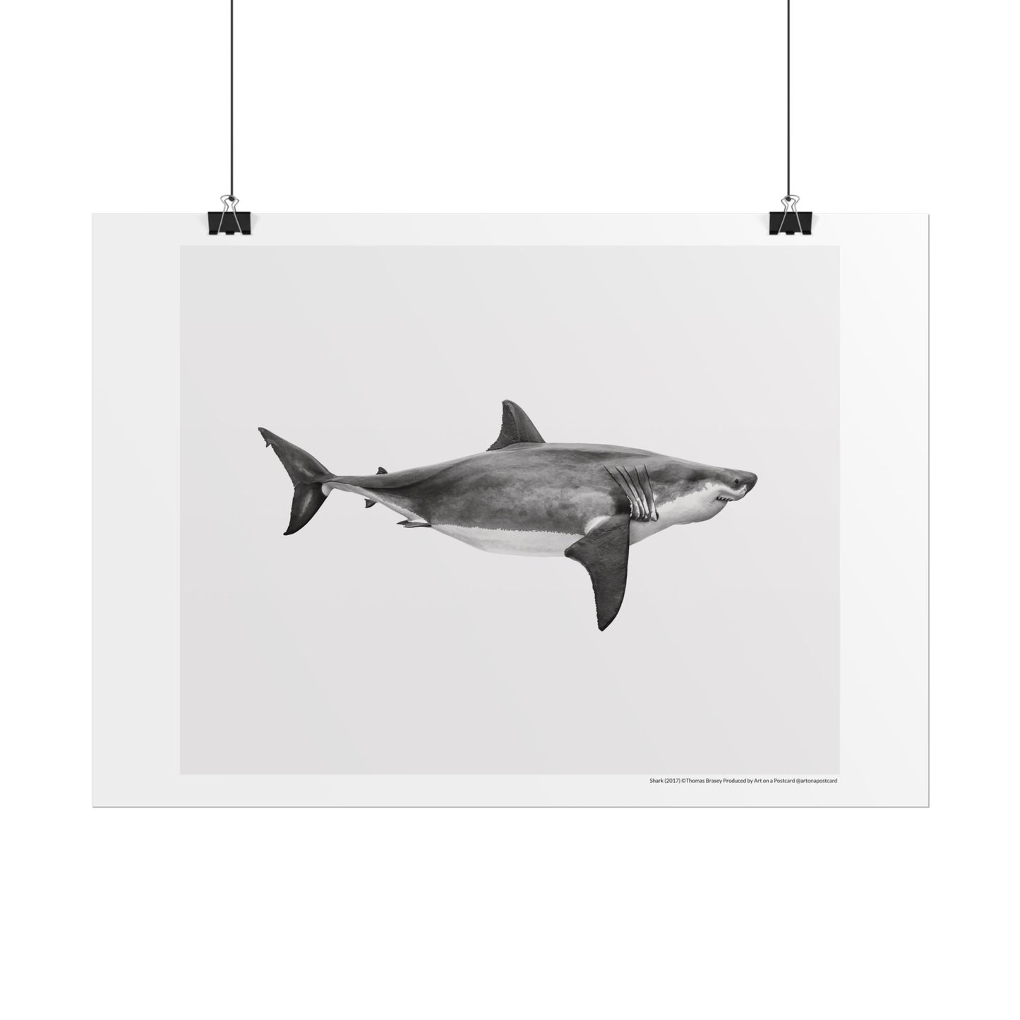 Thomas Brasey - Shark - Poster