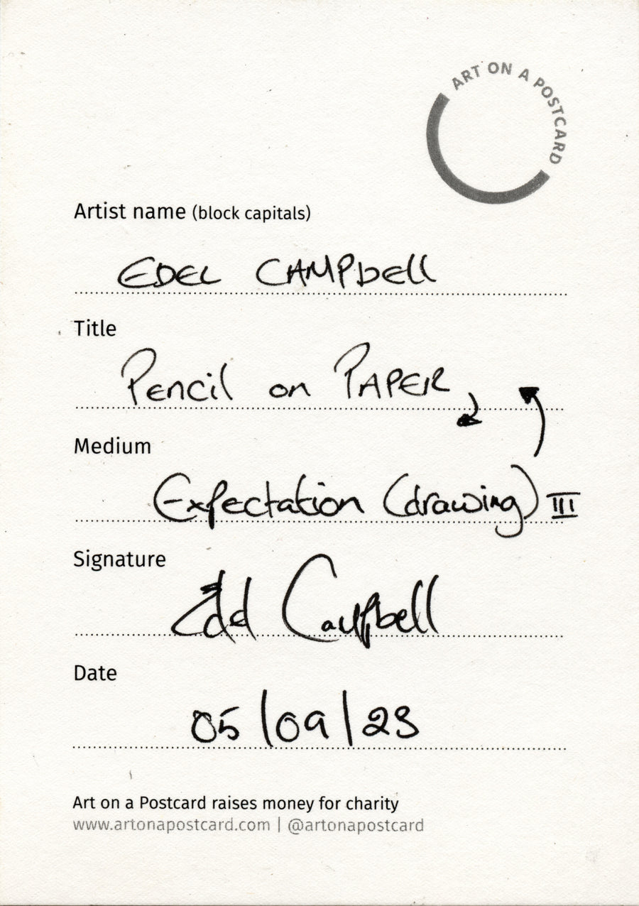 Lot 339 - Edel Campbell - Expectation (drawing) III