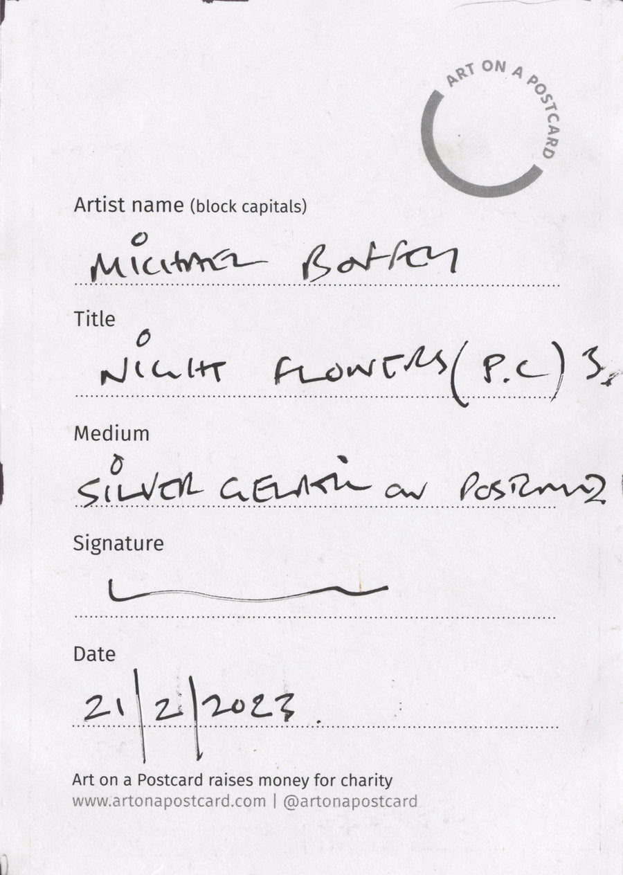 Lot 28 - Michael Boffey - Night Flowers 3. (PC)