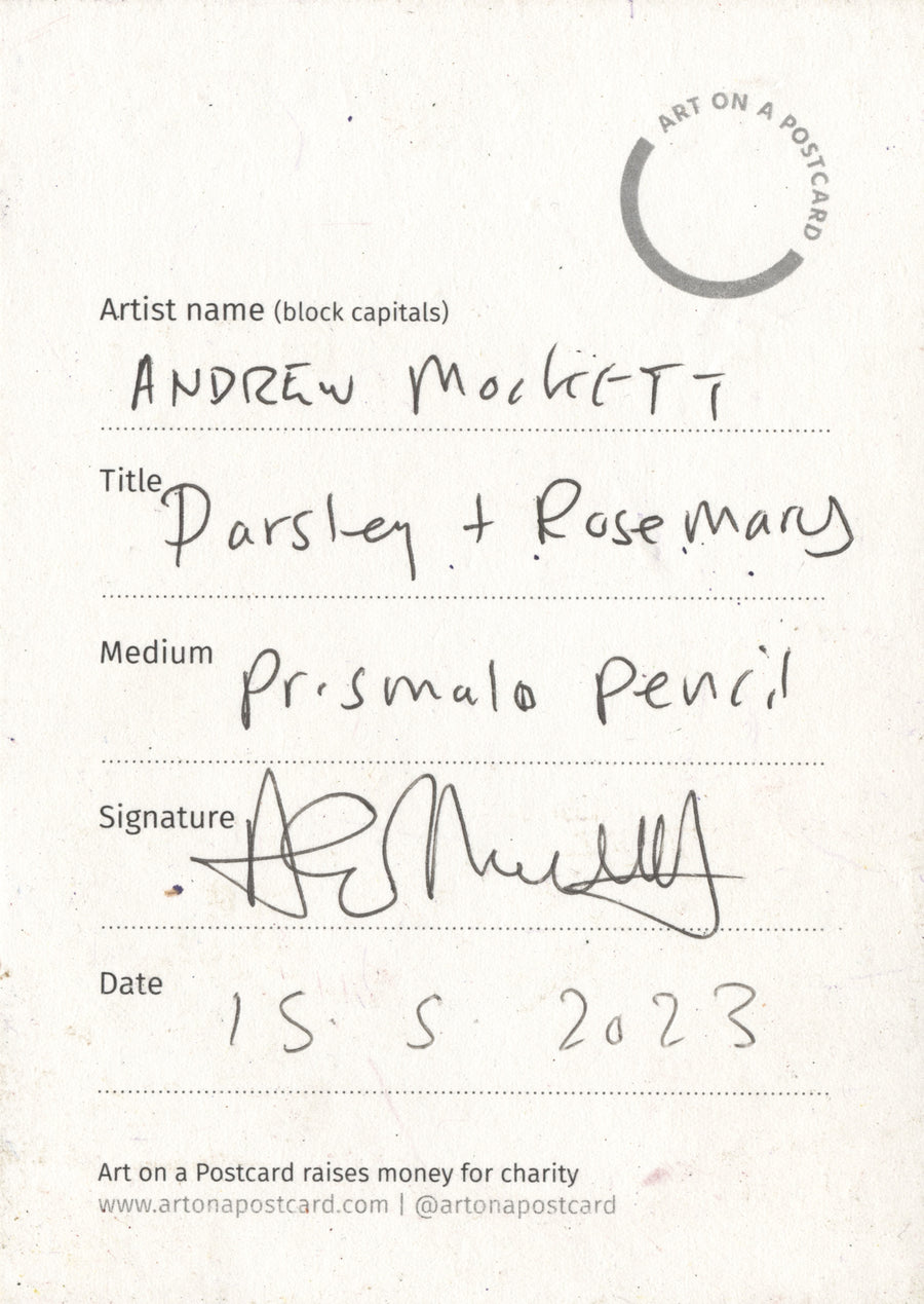 Lot 34 - Andrew Mockett - Parsley + Rosemary