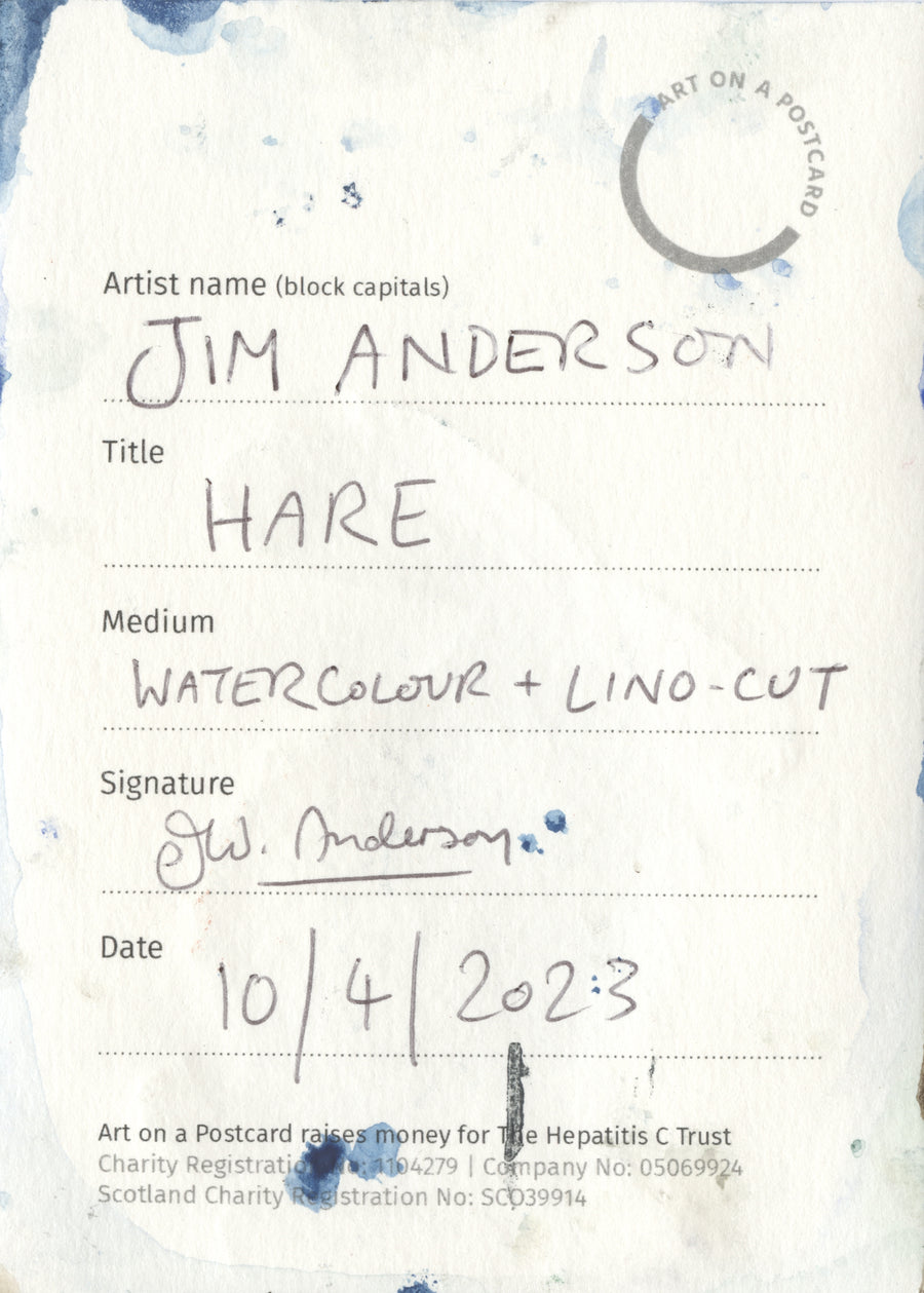 Lot 360 - Jim Anderson - Hare