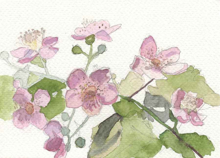 Lot 365 - Anne-Marie Butlin - Bramble Flowers