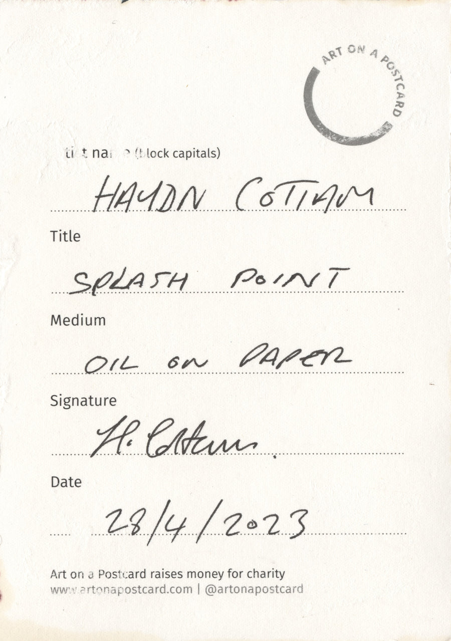 Lot 42 - Haydn Cottam - Splash Point