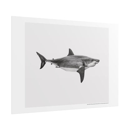 Thomas Brasey - Shark - Poster