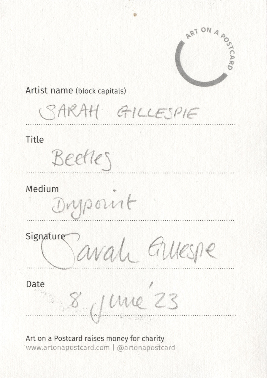 Lot 82 - Sarah Gillespie - Beetles