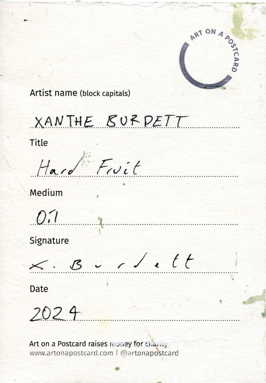 Lot 88 - Xanthe Burdett - Hard fruit
