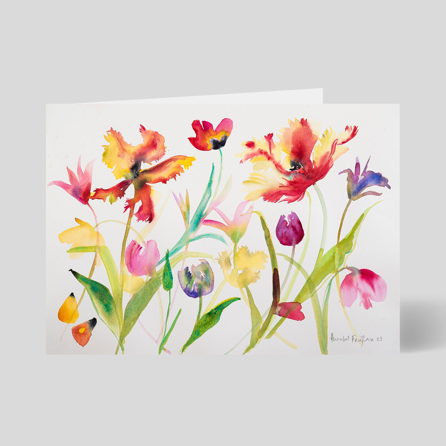 Annabel Fairfax - Mixed Tulips