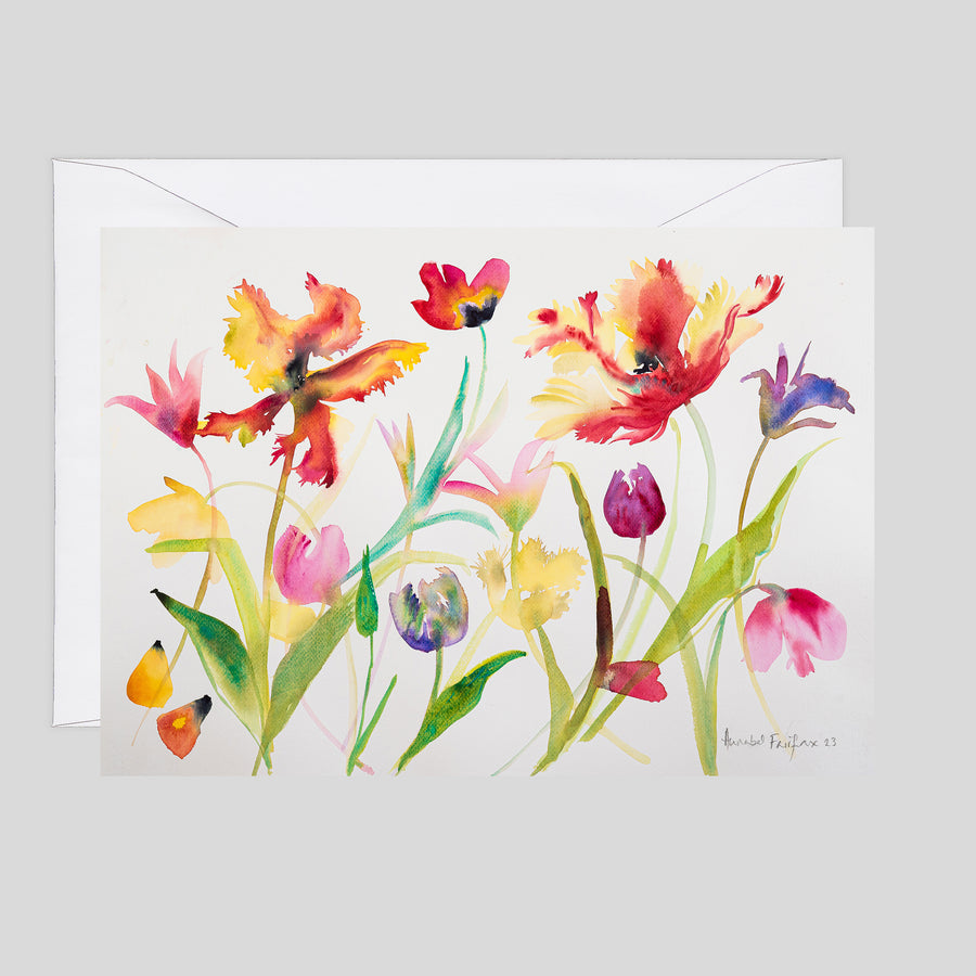 Annabel Fairfax - Mixed Tulips