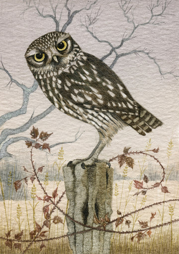 Lot 169 - Harriet Bane - Little Owl