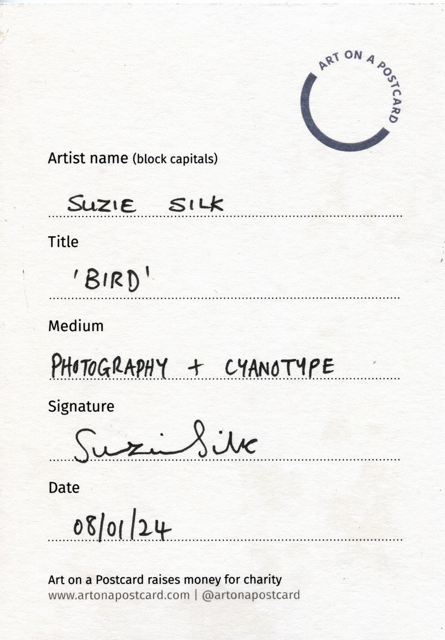 Lot 19 - Suzie Silk - Bird