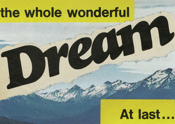 Steven Quinn - The Whole Wonderful Dream