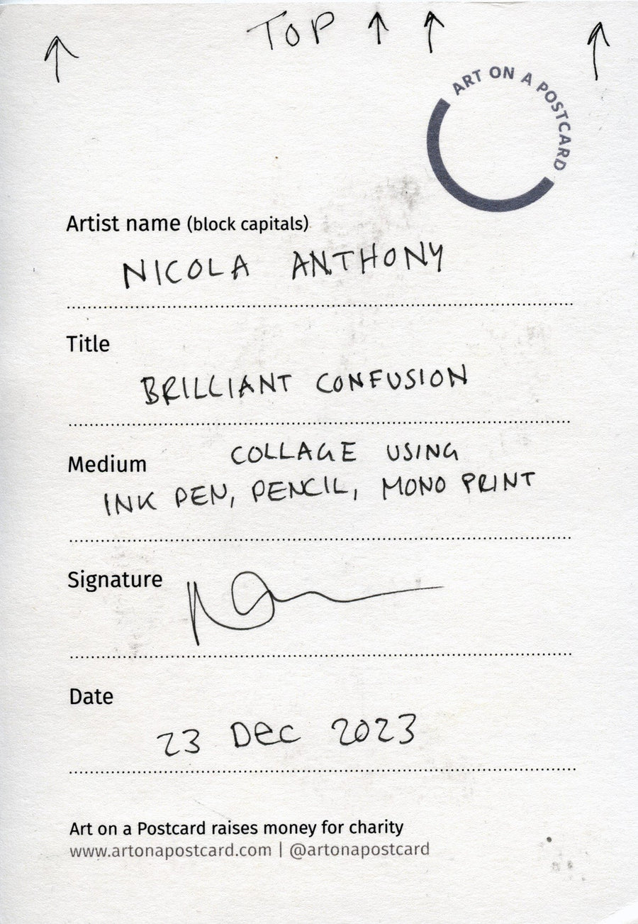 Lot 24 - Nicola Anthony - Brilliant confusion