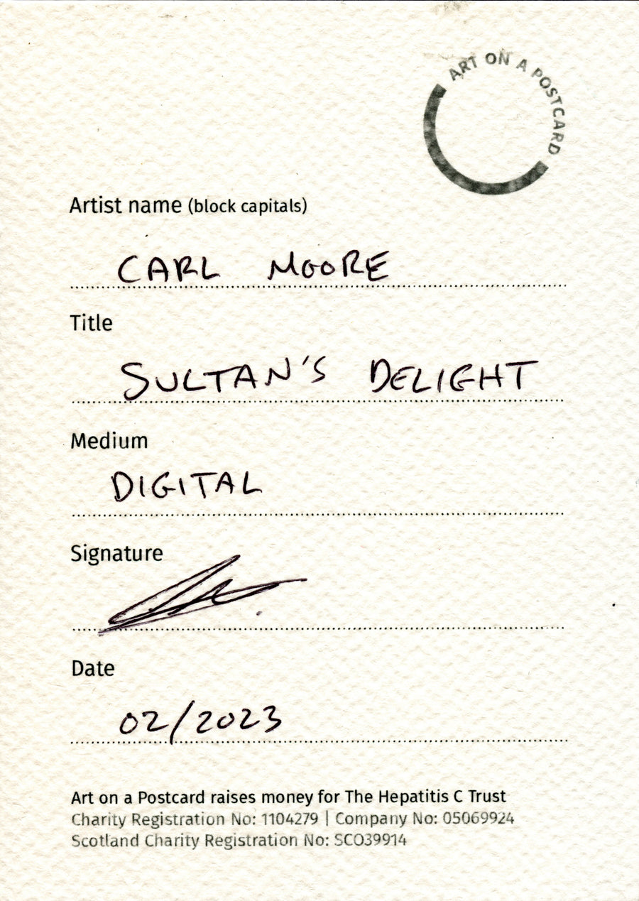 Lot 52 - Carl Moore - Sultan's Delight