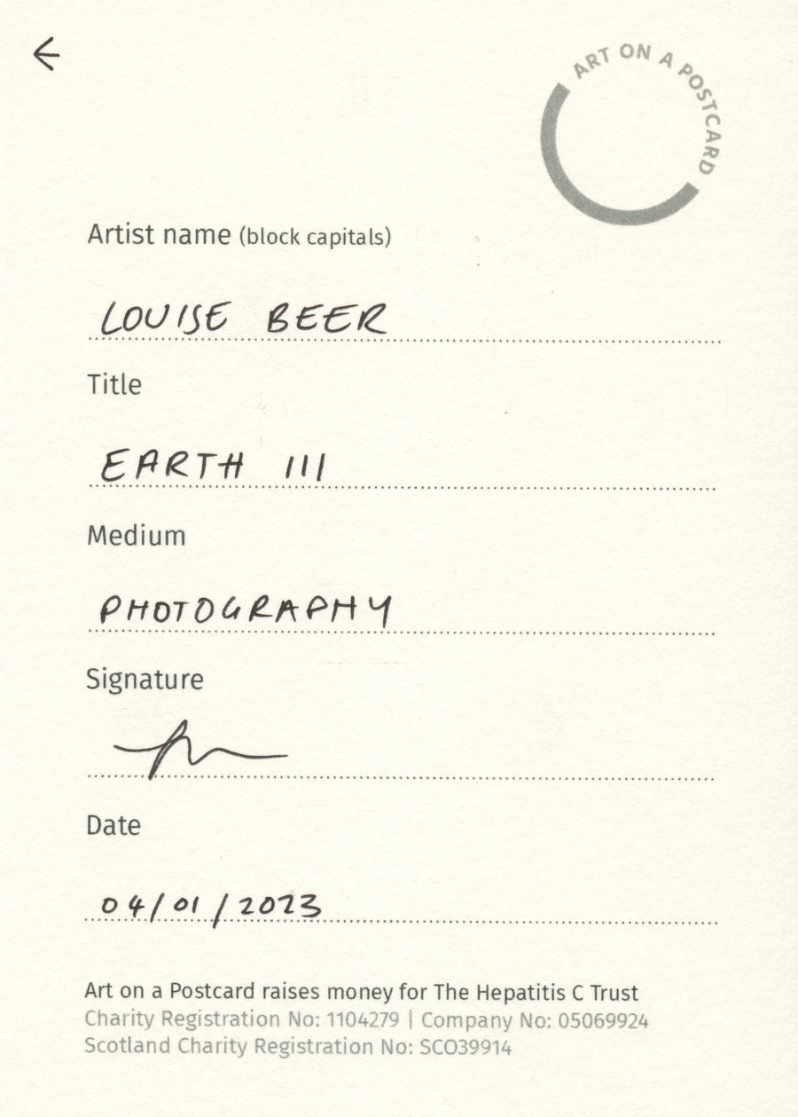 Lot 28 - Louise Beer - Earth III