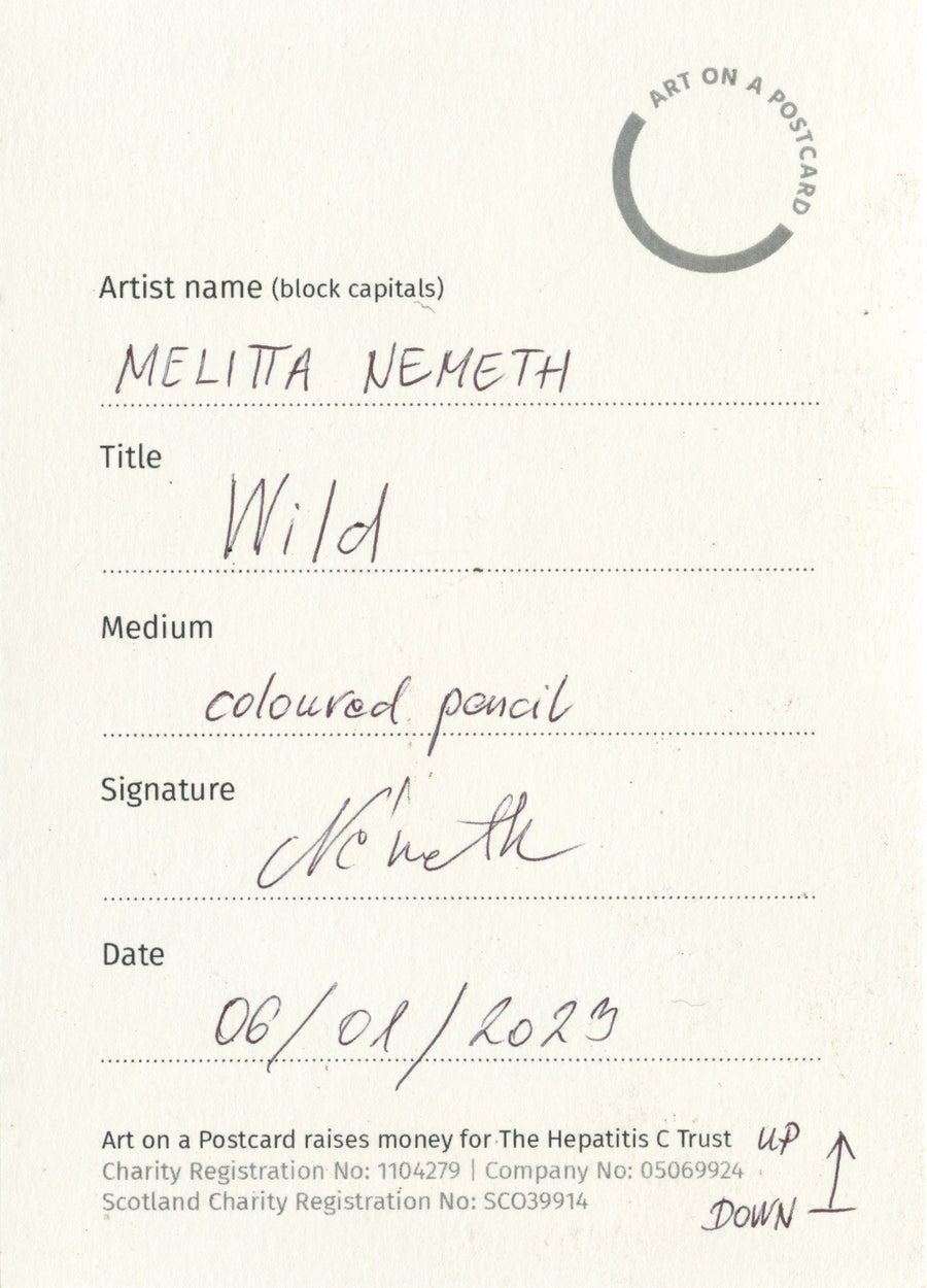 Lot 12 - Melitta Nemeth - Wild