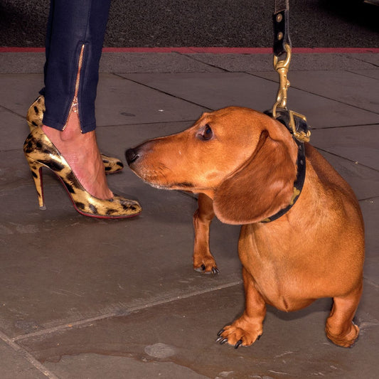 Dougie Wallace - Louboutin Sausage